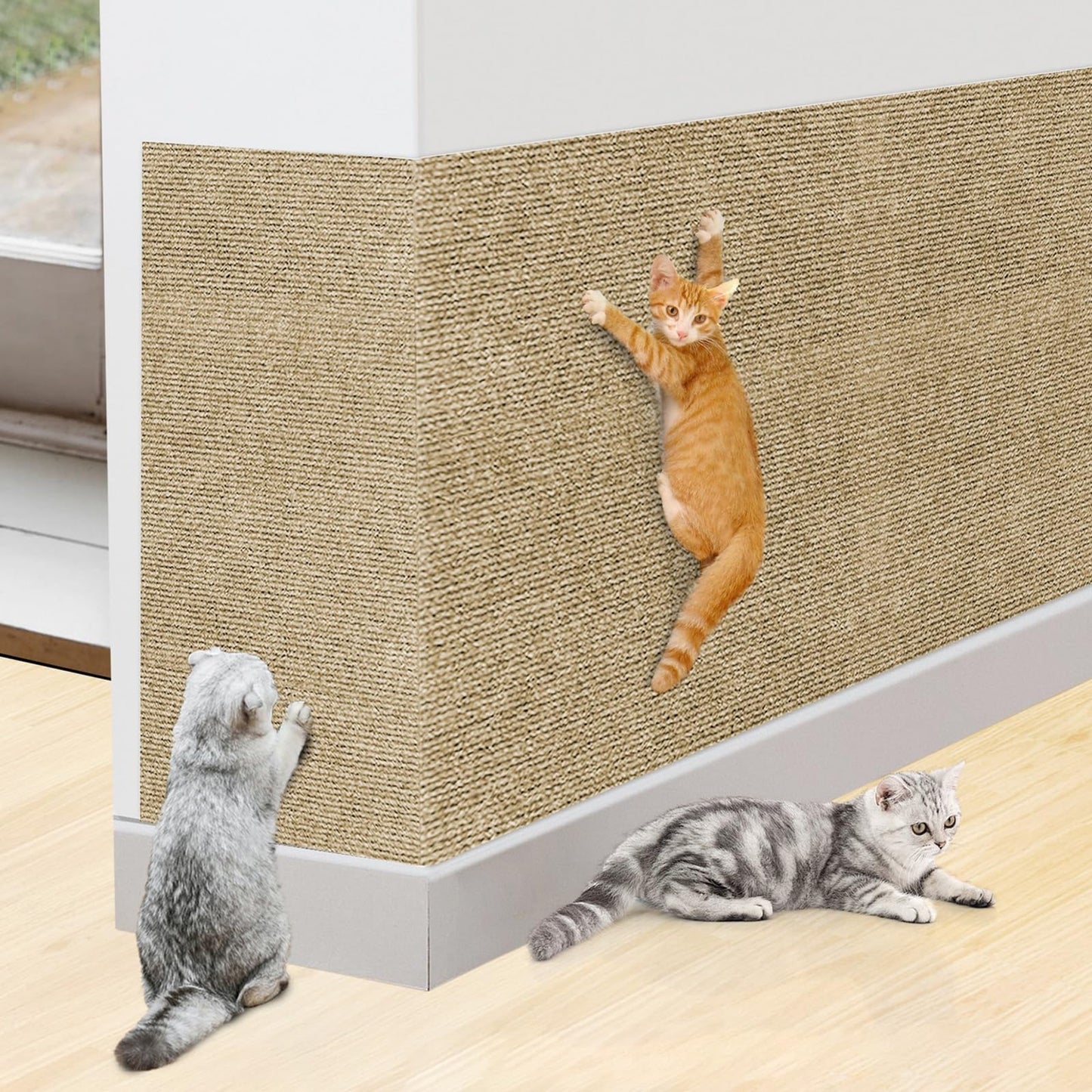Sticky Scratch Wall Mat
