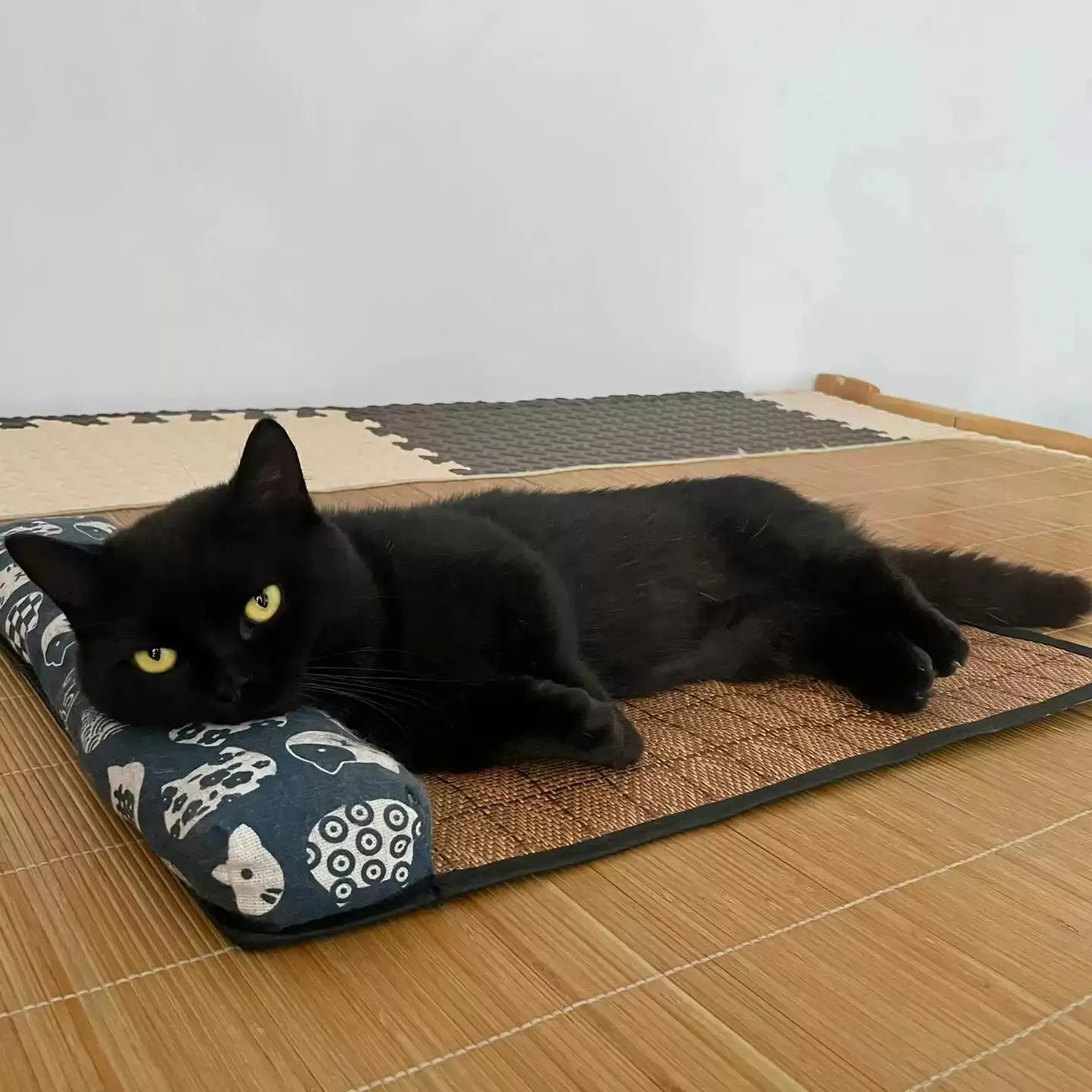 Natural Rattan Cooling Pet Mat
