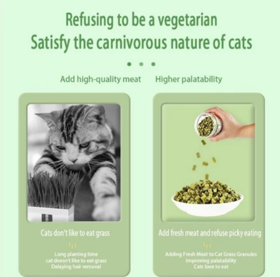 Freeze-Dried Catgrass Snack Tablets