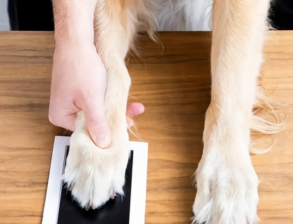 Pet Paw Footprint Kit