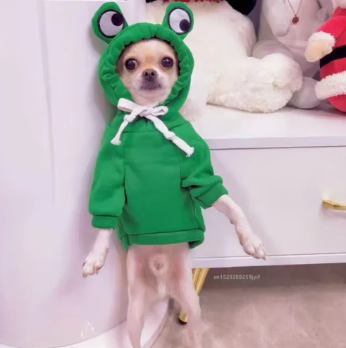 Green Frog Hoodie for Pets