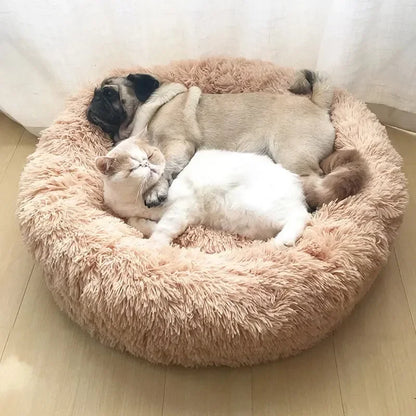 Soft Donut Plush Bed