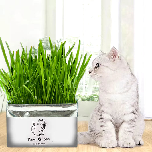 Organic Cat Grass Set