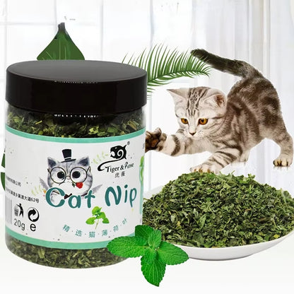 Natural Minty Grass Cat Nip