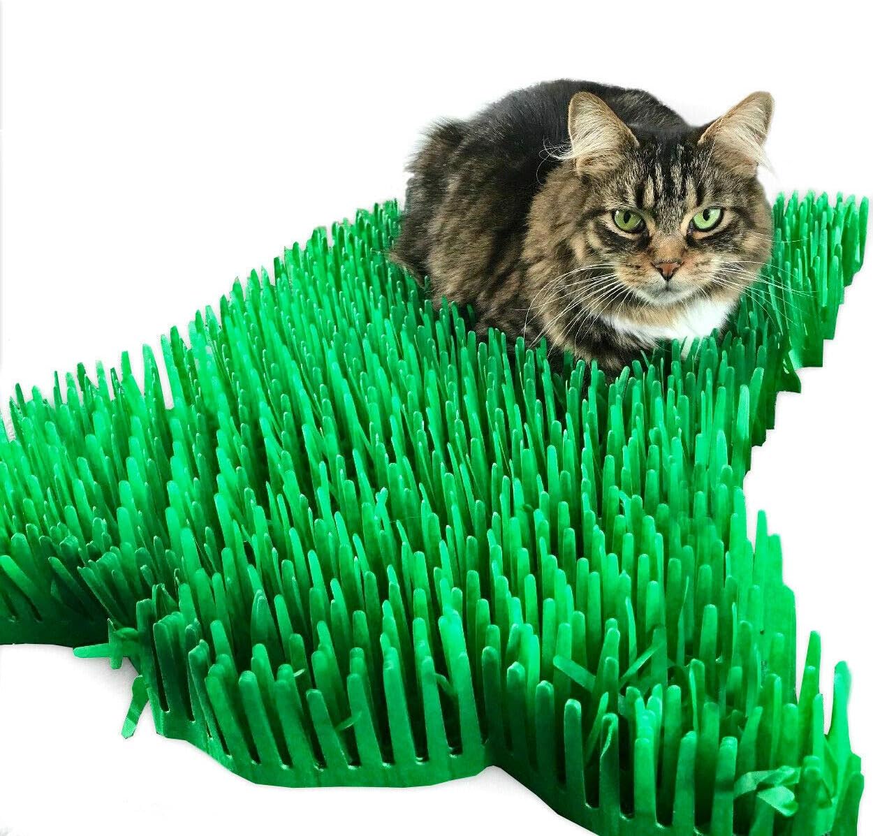 Kitty Grass Play Mat