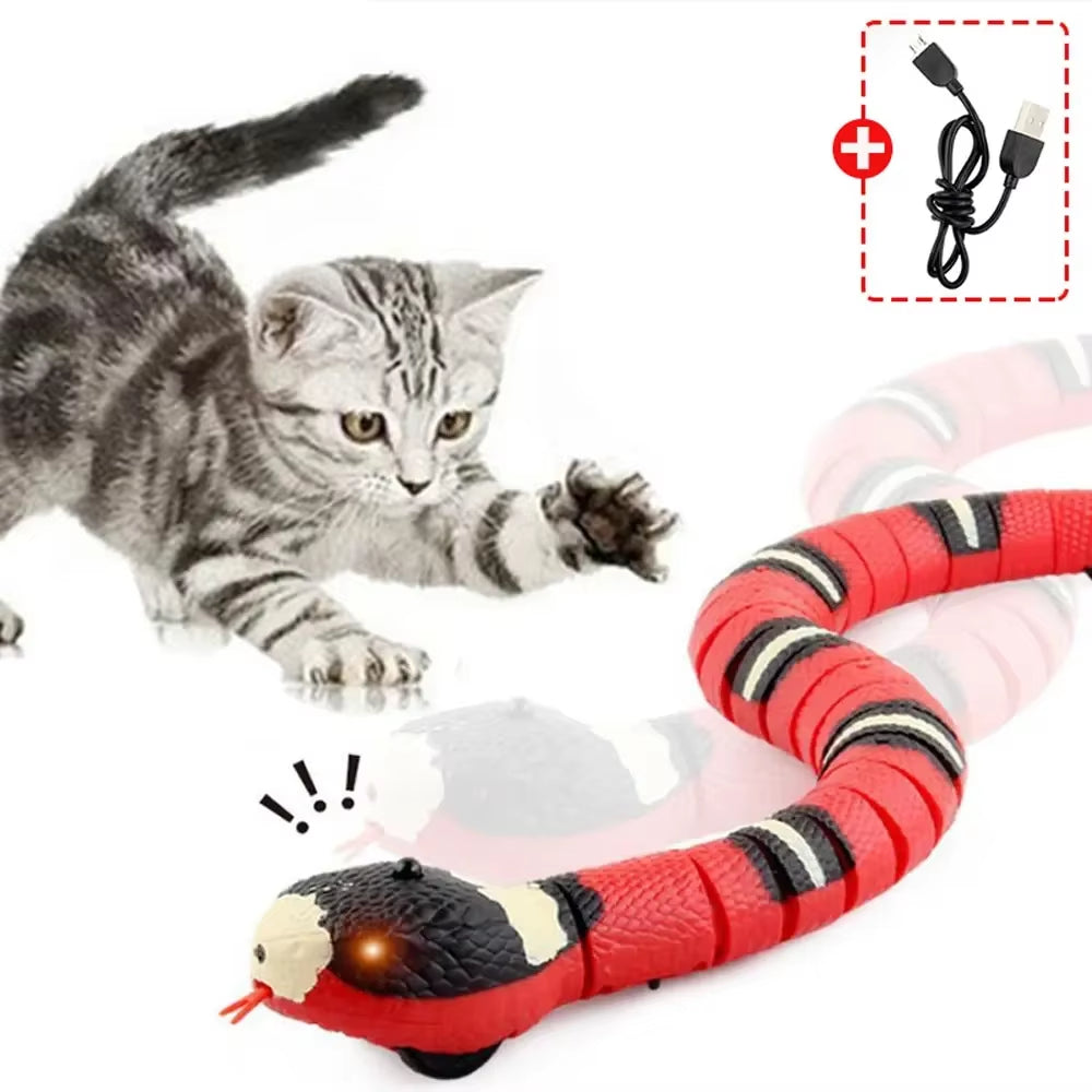 Smart Snake Teaser Toy