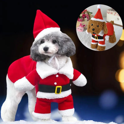 Cozy Christmas Pet Costume