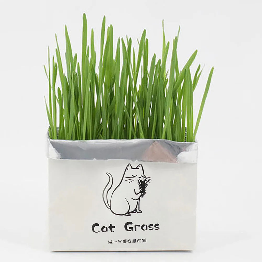 Organic Cat Grass Set