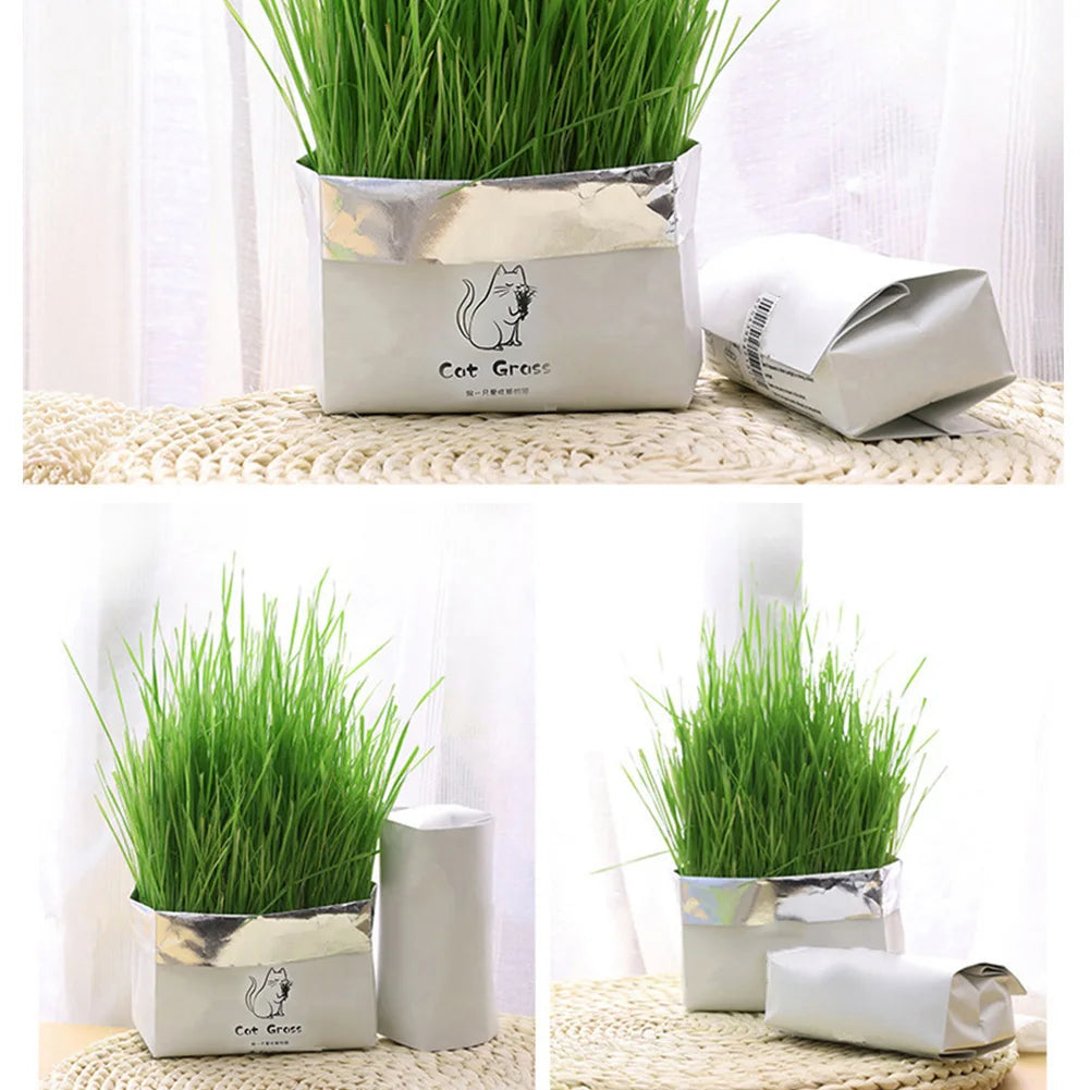 Organic Cat Grass Set