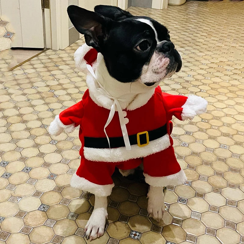 Cozy Christmas Pet Costume