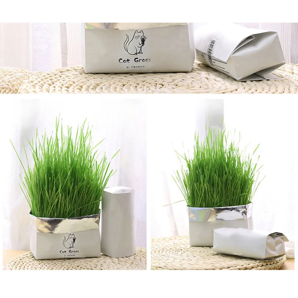 Organic Cat Grass Set