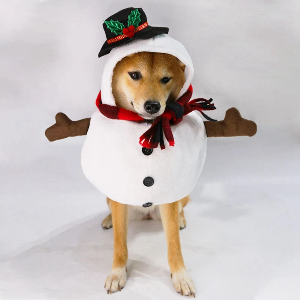 Cozy Christmas Snowman Pet Costume