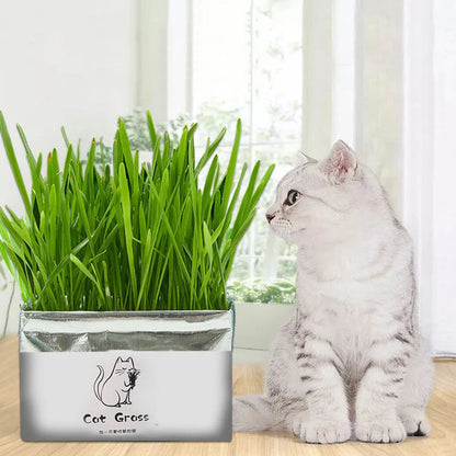 Organic Cat Grass Set