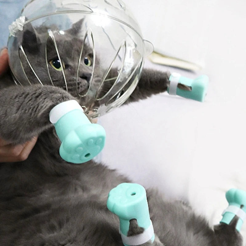 Cat Anti-Bite Headgear