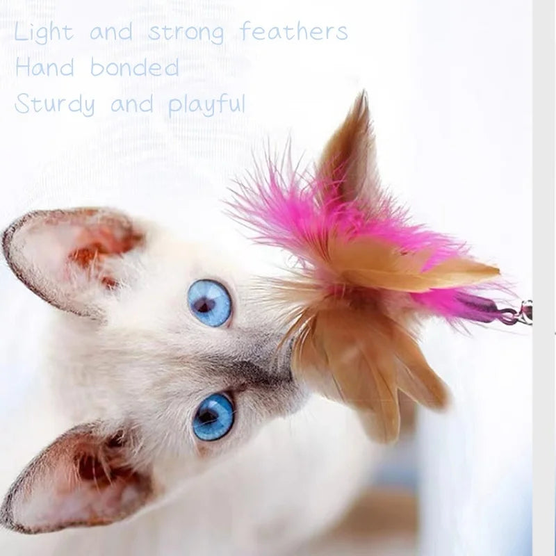 Cat Collar Feather Toy