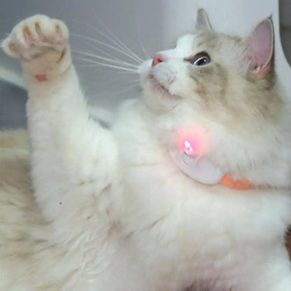 Cat Collar Laser Toy™