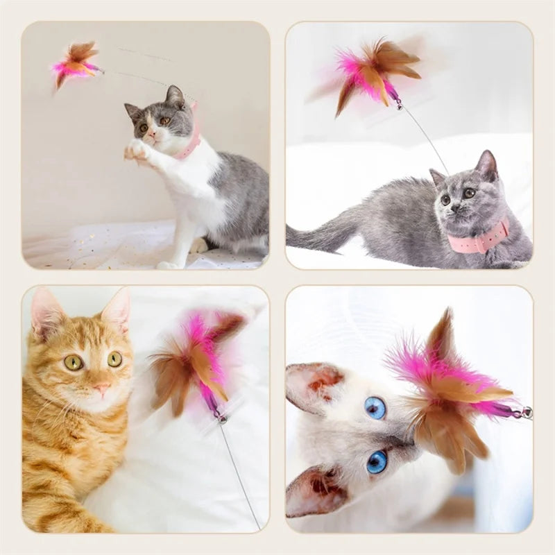 Cat Collar Feather Toy