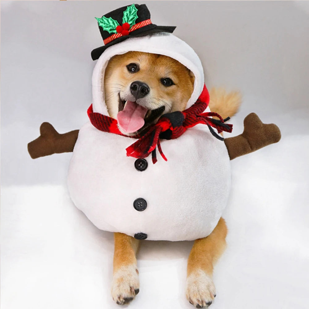 Cozy Christmas Snowman Pet Costume