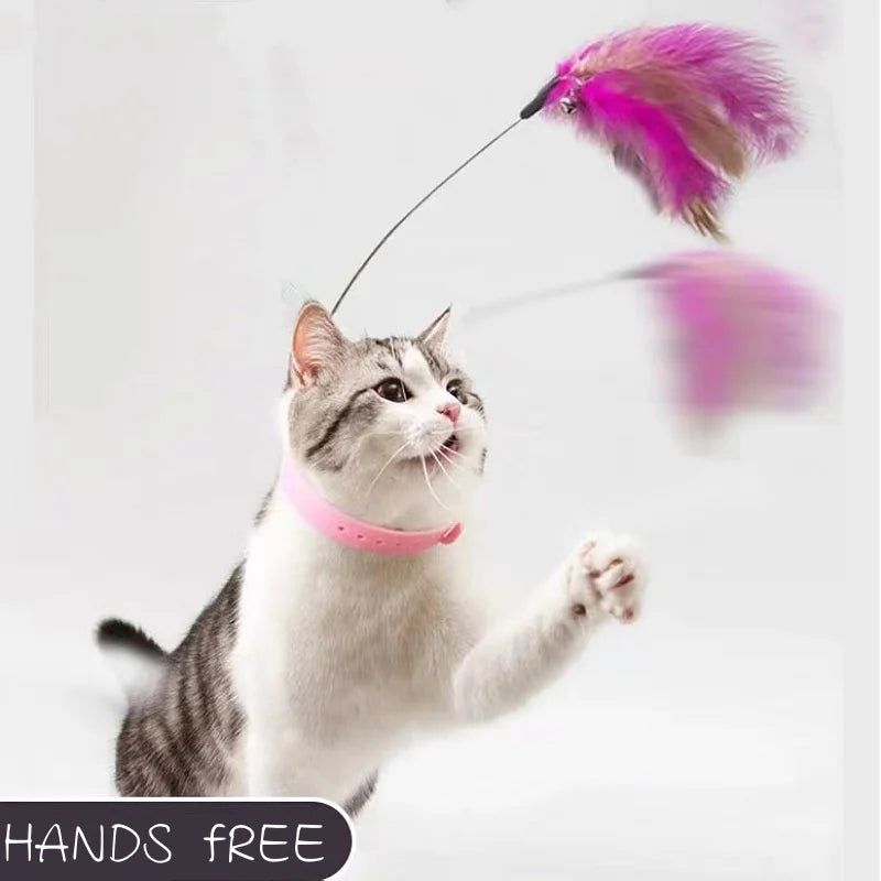 Cat Collar Feather Toy