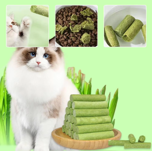 Cat Grass Teething Sticks