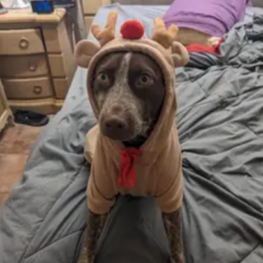 Winter Warm Reindeer Hoodie for Pets