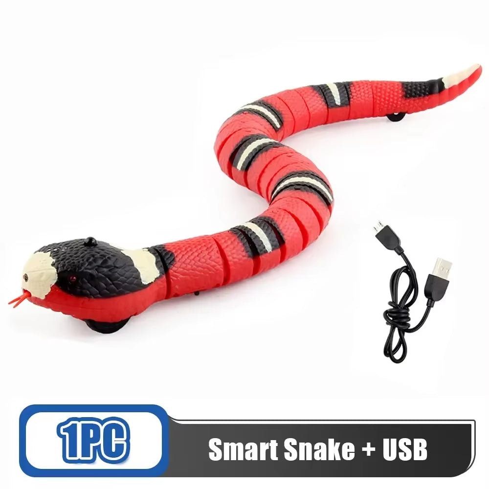 Smart Snake Teaser Toy