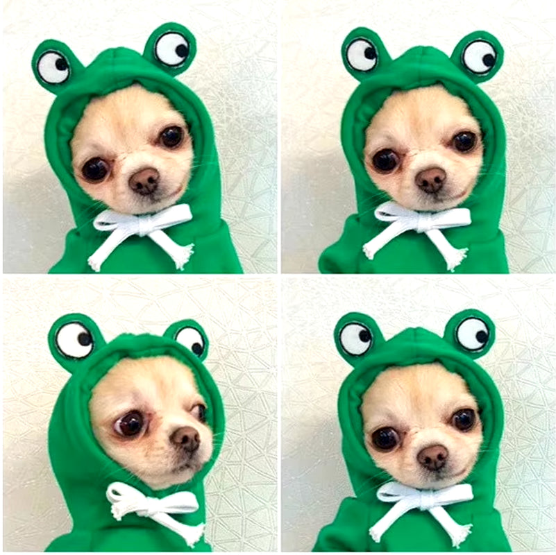 Green Frog Hoodie for Pets